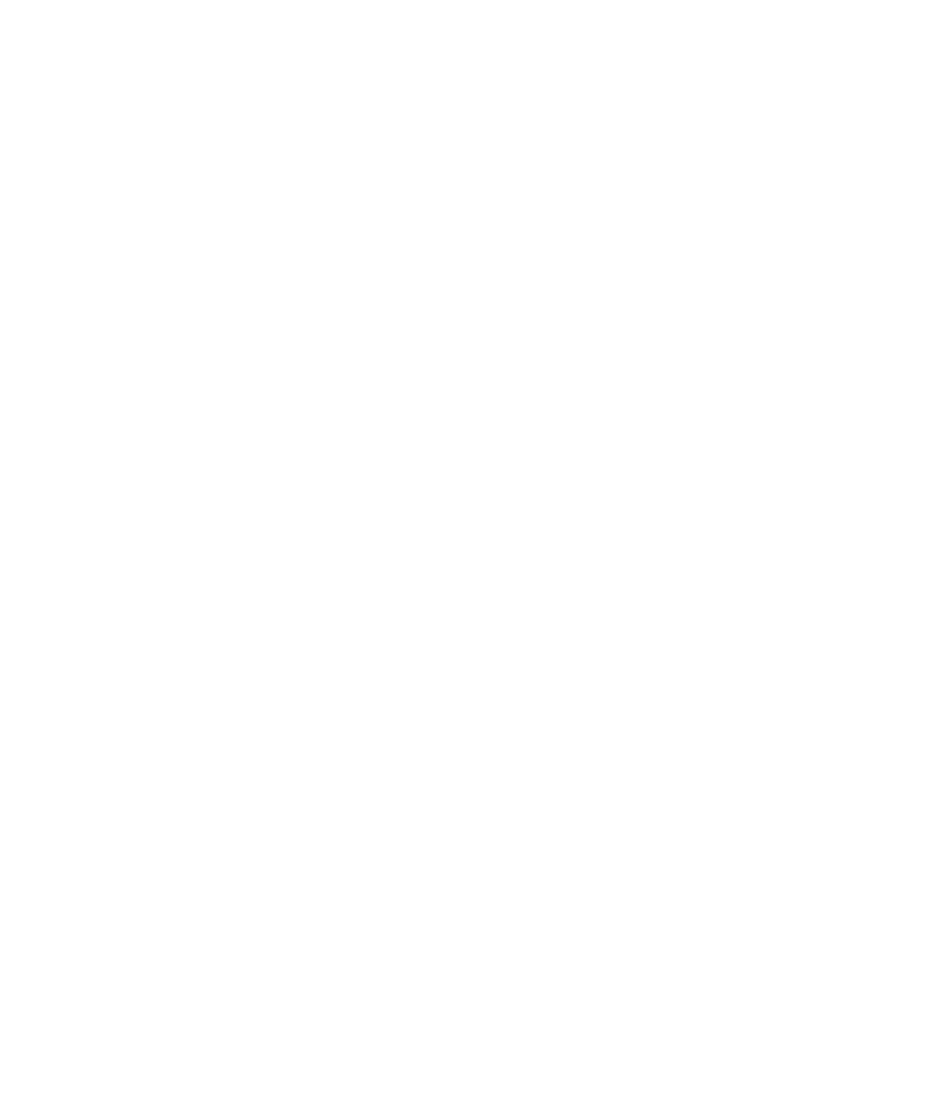 Travelers choice logo from tripadvisor