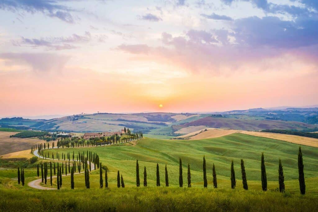 Twisty cypress road, green landscape at sunset, Tuscany, Italy Val d'Orcia