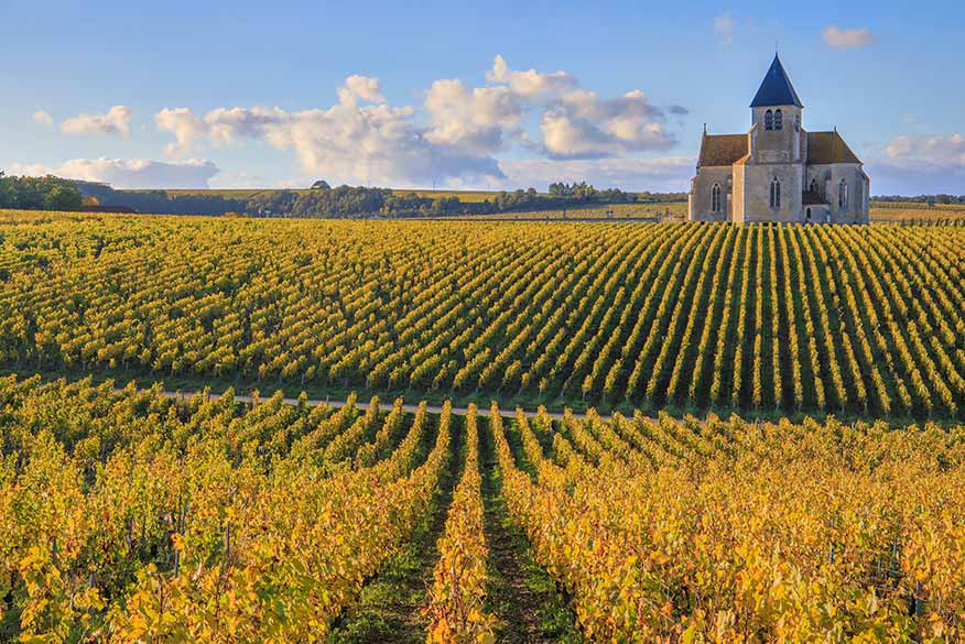 Church of Saint-Claire de Préhy in the Chablis vineyard, Burgundy